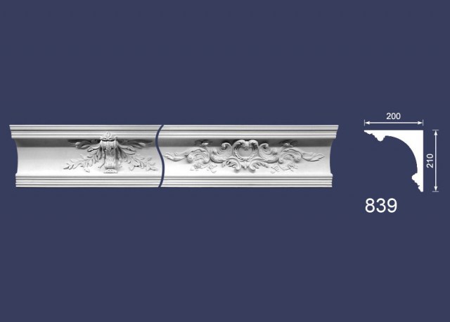 k0839