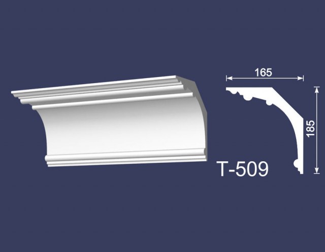 t-0509